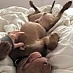 Thumbnail photo of Max #3