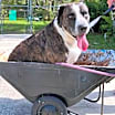Thumbnail photo of Rocket #1