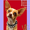 Thumbnail photo of Esco #2