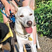 Thumbnail photo of Snowflake(D) #2