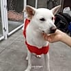 Thumbnail photo of Snowflake(D) #3