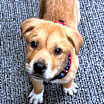 Thumbnail photo of Cruz #1