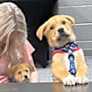 Thumbnail photo of Cruz #2