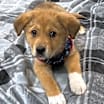 Thumbnail photo of Diego #1