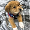 Thumbnail photo of Diego #3