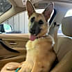 Thumbnail photo of ADIRI #4