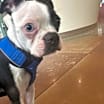 Thumbnail photo of Zorg #1