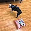 Thumbnail photo of Zorg #2