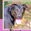 Thumbnail photo of Tillie #1