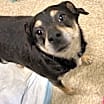 Thumbnail photo of BEAR #4