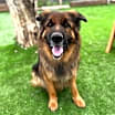 Thumbnail photo of Mabel #1
