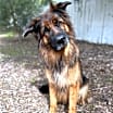 Thumbnail photo of Mabel #2
