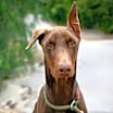 Thumbnail photo of Chance #1