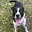 Thumbnail photo of 169536 Mason (Off Site Foster) #2