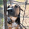 Thumbnail photo of Jack #2