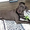 Thumbnail photo of Madison - F #2