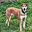 Thumbnail photo of Nova #2