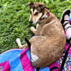 Thumbnail photo of Nova #4