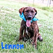 Thumbnail photo of LENNON #3