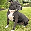 Thumbnail photo of Wilma #2