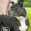 Thumbnail photo of Wilma #3