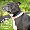 Thumbnail photo of Wilma #4