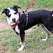 Thumbnail photo of Max #1