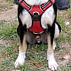 Thumbnail photo of Max #3