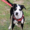 Thumbnail photo of Max #4