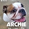 Thumbnail photo of ARCHIE #1