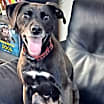 Thumbnail photo of Fiona #4