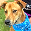 Thumbnail photo of Valerie #2