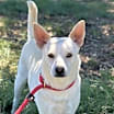 Thumbnail photo of Snowby #1