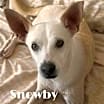 Thumbnail photo of Snowby #2