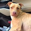 Thumbnail photo of DOUG #1
