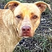 Thumbnail photo of DOUG #2