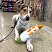 Thumbnail photo of Tucker #3