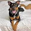 Thumbnail photo of Beaux #1