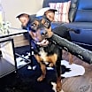 Thumbnail photo of Beaux #2