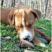 Thumbnail photo of Holly #1
