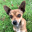 Thumbnail photo of Riley #2