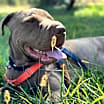 Thumbnail photo of Max #1