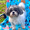 Thumbnail photo of Lily Belle #2