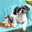 Thumbnail photo of Lily Belle #3