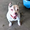 Thumbnail photo of Birdie #3