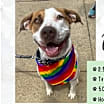 Thumbnail photo of WHISKEY #2