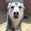 Thumbnail photo of Nova #1