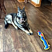 Thumbnail photo of Gunner #2