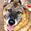Thumbnail photo of Karen #1