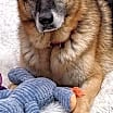 Thumbnail photo of Karen #2
